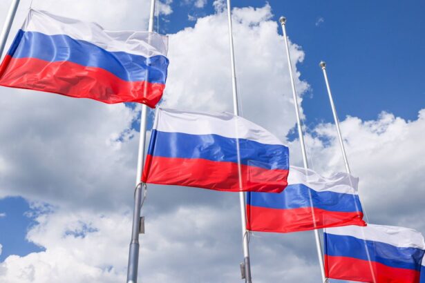 rusia schimba regulile jocului sapte modificari majore anuntate de la moscova 6a284a5c23d0f