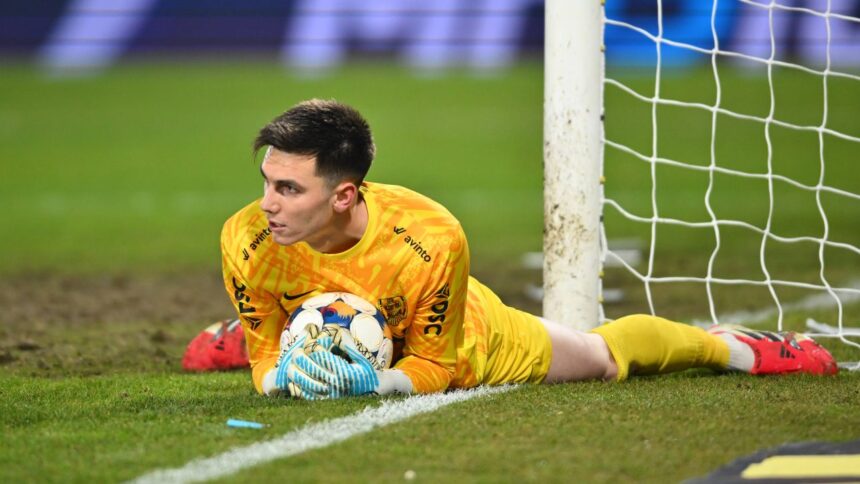 Mihai Popa a acceptat transferul și va juca în străinătate 51 se face transferul lui mihai popa si a dat acordul si va juca in strainatate 6a3443fa05bf9