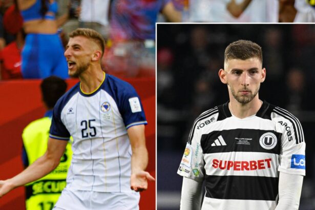 selectionerul bosniei intrebat frontal e jovo lukic o surpriza fotbalistul lui u cluj a deschis scorul impotriva canadei 6a2ce7a8bc00e