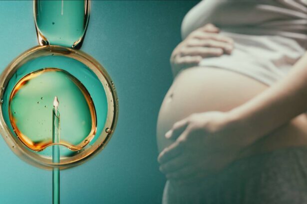 urmeaza sa incepeti un tratament fiv cele mai importante 5 intrebari pe care ar trebui sa le adresati medicului inainte de procedura 6a4393bf7f6ea