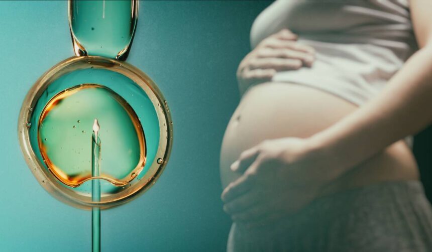 urmeaza sa incepeti un tratament fiv cele mai importante 5 intrebari pe care ar trebui sa le adresati medicului inainte de procedura 6a4393bf7f6ea