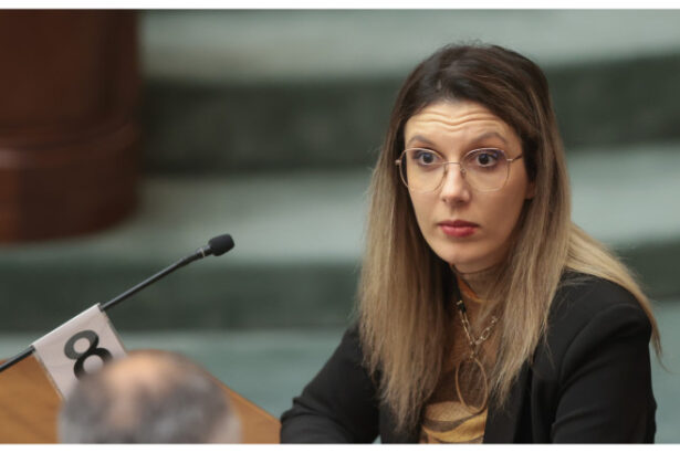 video un nou jalon din pnrr depus in parlament ce prevede proiectul mecanismul apei propus de diana buzoianu 6a32b5181357d