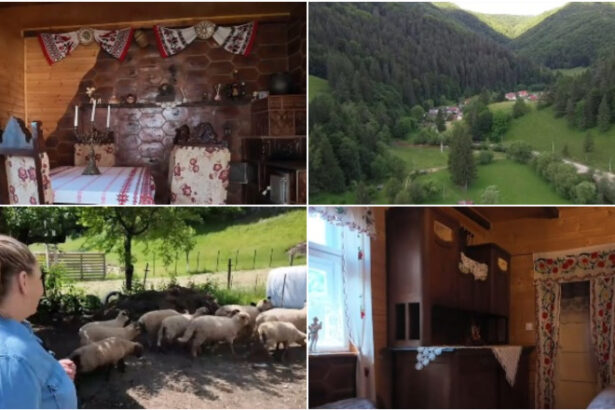 video vacanta la tara in casele localnicilor platforma care deschide portile gospodariilor pentru oaspeti vai de mine cu toata placerea 6a3a47583665f