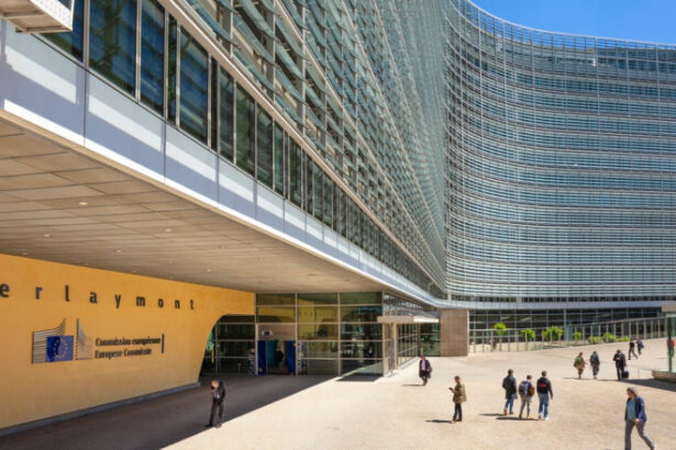 absolventii de scoli profesionale vor avea in premiera acces la stagii platite la comisia europeana ce trebuie sa stie candidatii 6a59080863d54