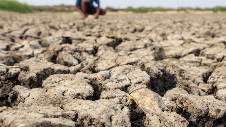 Experții avertizează că „super El Niño” ar putea duce la creșterea prețurilor alimentelor pe termen lung 51 avertismente sumbre ale expertilor despre super el nino fenomenul ar putea creste preturile alimentelor timp de ani de zile 6a572c72b201e