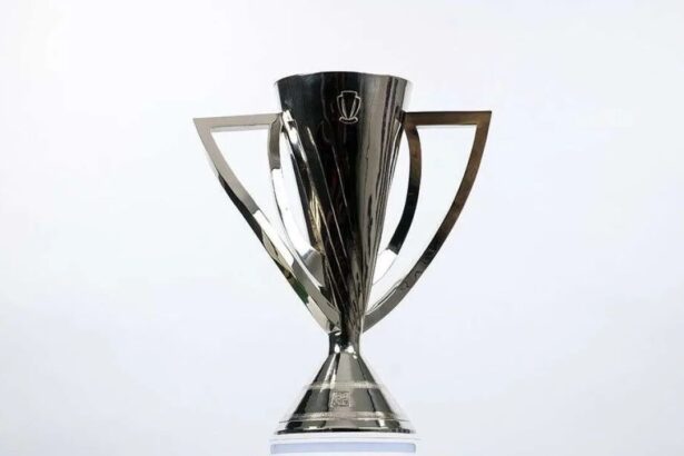 cine este favorita sa castige titlul in superliga cotele lui fcsb craiova dinamo si rapid 6a5393b0940d2