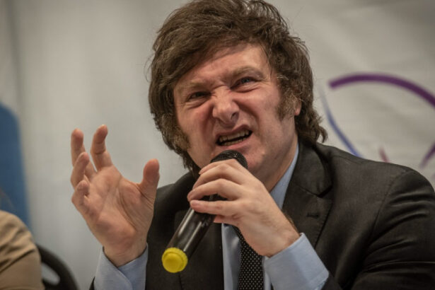 curtea suprema a braziliei ii interzice lui javier milei sa il viziteze pe fostul presedinte jair bolsonaro 6a5bd01fb962e