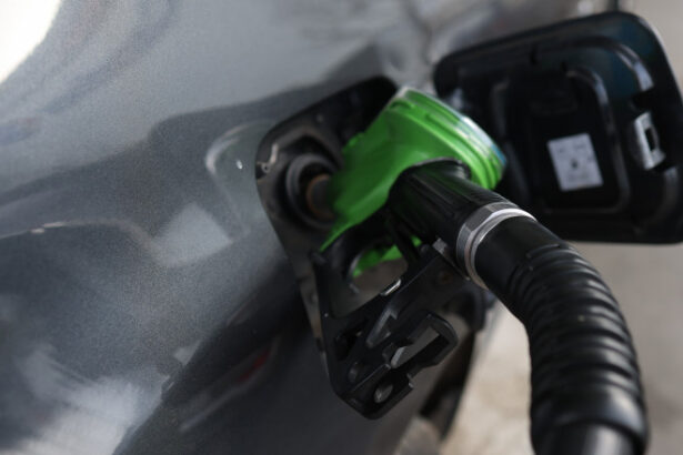economist despre plafonarea accizei la carburanti o iluzie pur si simplu vanduta oamenilor pe post de pseudo solutii 6a449b4730d9a