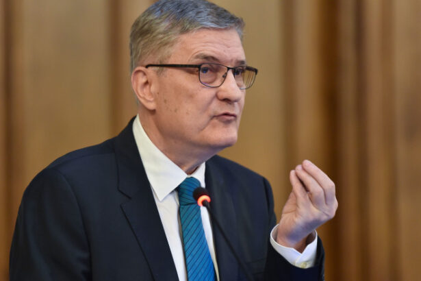 exclusiv daniel daianu inaintea discutiilor cu agentiile de rating nu trebuie lasata tara de izbeliste pentru orgolii personale si de partid 6a561a0d987d9