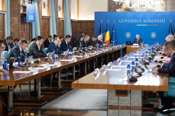 guvernul a alocat 315 milioane de lei pentru neutralizarea animalelor moarte din gospodariile populatiei 6a46793924ee3