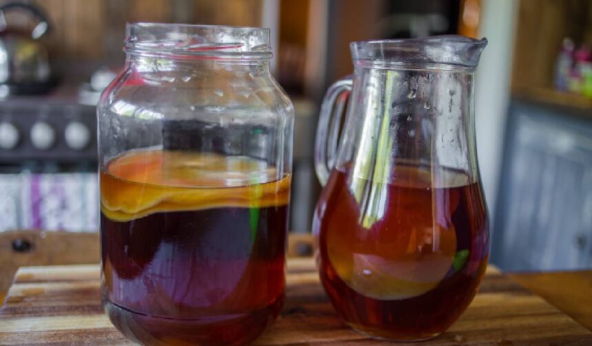 kombucha ce contine de fapt si merita popularitatea 6a4d23e83c739