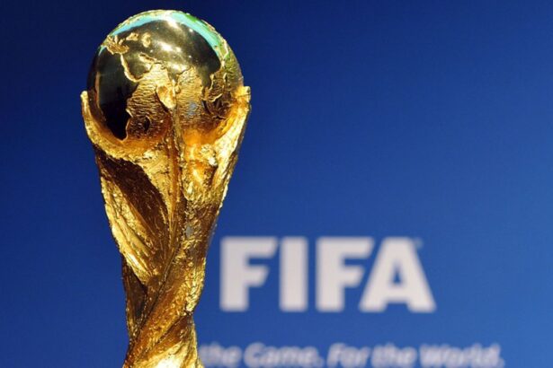 oficial gata stim semifinalele campionatului mondial cand se joaca franta spania si anglia argentina 6a532332e95bb