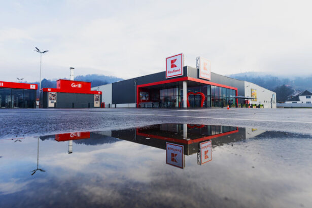 p cum ajunge o singura companie privata sa genereze 08 din pib ul romaniei povestea banilor care raman in tara 6a5892e0d71a1