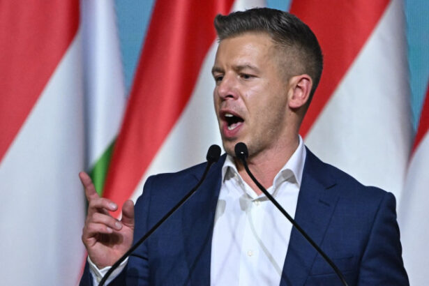 pe cine vrea peter magyar sa propuna pentru presedintia ungariei numele ei a fost sinonim cu talentul si perseverenta 6a5d2b01a458e