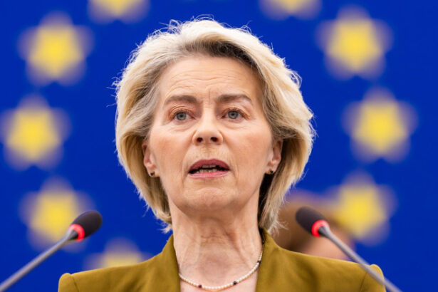 ursula von der leyen avertizeaza statele ue fara noi surse de venit bugetul european ar putea fi redus cu pana la 40 6a48864046e40