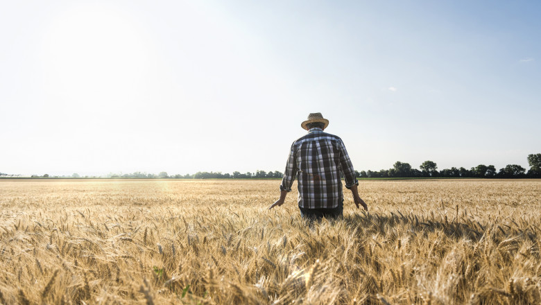 Fermierii din vestul țării schimbă culturile de cereale din cauza vremii și lipsei irigațiilor 51 video agricultura la mila vremii cu ce au inlocuit fermierii din vestul tarii culturile de cereale in lipsa sistemelor de irigatii 6a5497b141aad
