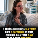 77986539