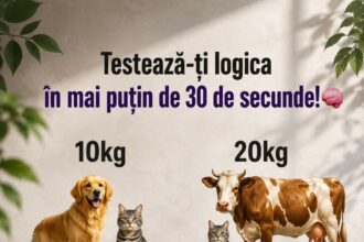FB IMG 1786272927153