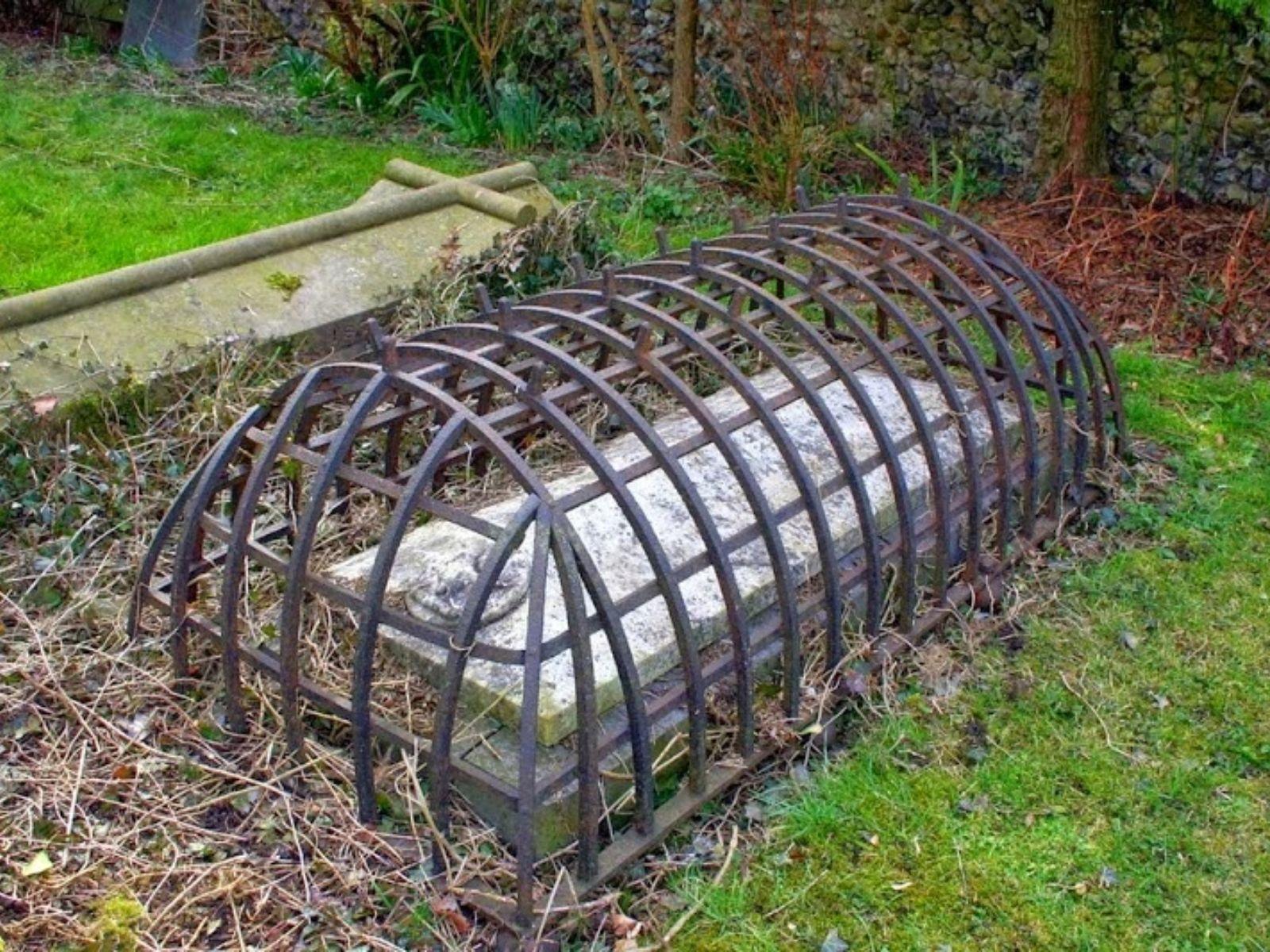 morminteAnglia