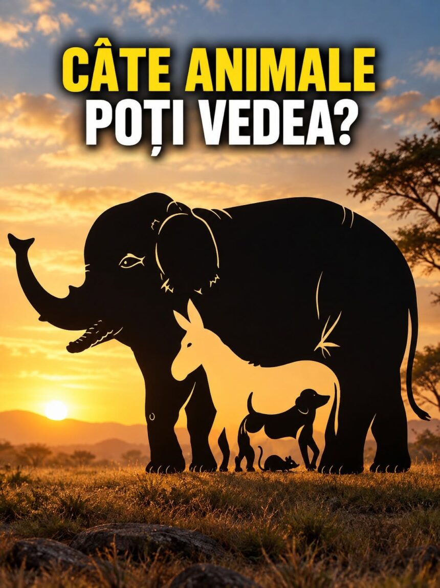 Câte animale poți vedea în această imagine? Testul de observație care îi păcălește pe mulți 51 79314440